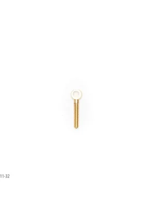 [ AE5294-22 ] aeronaut draadstuk M2 met oog messing rechtse draad lengte 6mm 10st Veilige Betaling