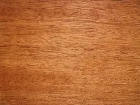 [ AE7521-24 ] mahonieplankje 2.0 mm x 10cm 1 meter lang Gereduceerde Prijs