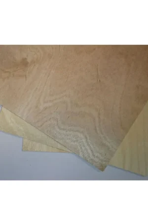 Shop Nu [ M88006 ] Mantua berken multiplex 2mmx200x1200mm
