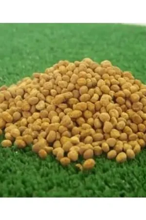 1/32 Aardappelen – Natuurlijk Bruin – 150 g Juweela 23105 Laatste Versie