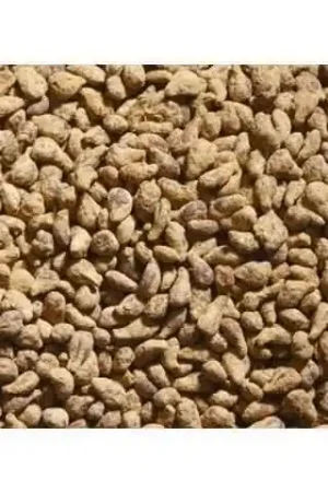 1/32 Suikerbieten – Natuurlijk Bruin – 100 g Juweela 23091 Merkproduct