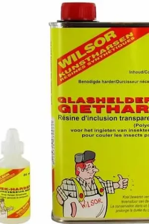 Goedkoop Wilsor Glasheldere Giethars – 250 ml Wilsor 3000