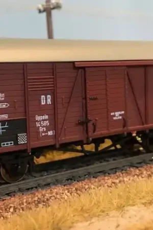 Alleen Vandaag Exact train EX20280 - NS Oppeln ‘Mag Nederland niet verlaten‘