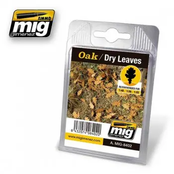 Hoge Kwaliteit OAK DRY LEAVES