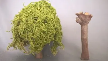TREES SET Laatste Versie