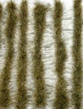 AUTUMN COLOURED GRASS STRIPS - LIGHT Koop Online