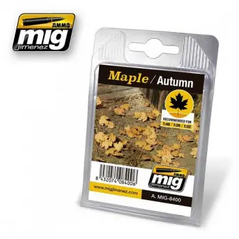 Aanbieding MAPLE AUTUMN