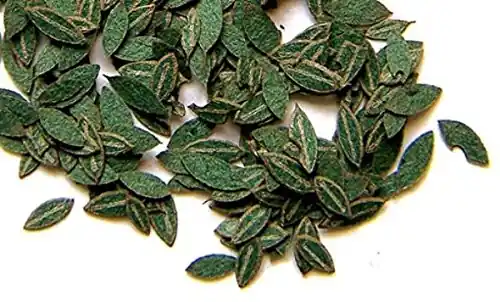 Direct Beschikbaar GREEN LEAVES - CHERRY