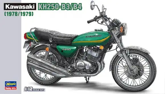 KAWAZAKI KH250 Populair
