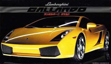 Populair LAMBORGHINI GALLARDO