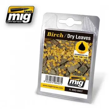 Populair BIRCH DRY LEAVES