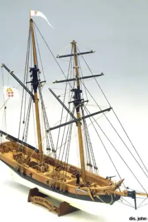 Shop Nu Mamoli MV46 - Black Prince Privat Schooner -MV46