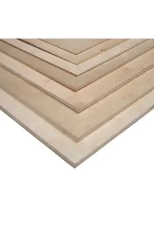 Veilige Betaling berken triplex 50-100-1.5 - Berken Triplex 50 cm x 100 cm x 1.5 mm
