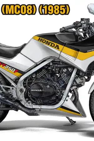 1 12 Hasegawa 21761 Honda VT250F - MC08 - 1985 - Limited Edition - Motorfiets Plastic Modelbouwpakket Betaalbaar