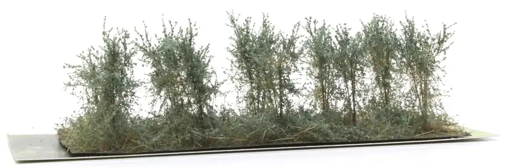 Welberg Scenery SBS Struiken type B Saliegroen - 10 stuks Beperkte Voorraad