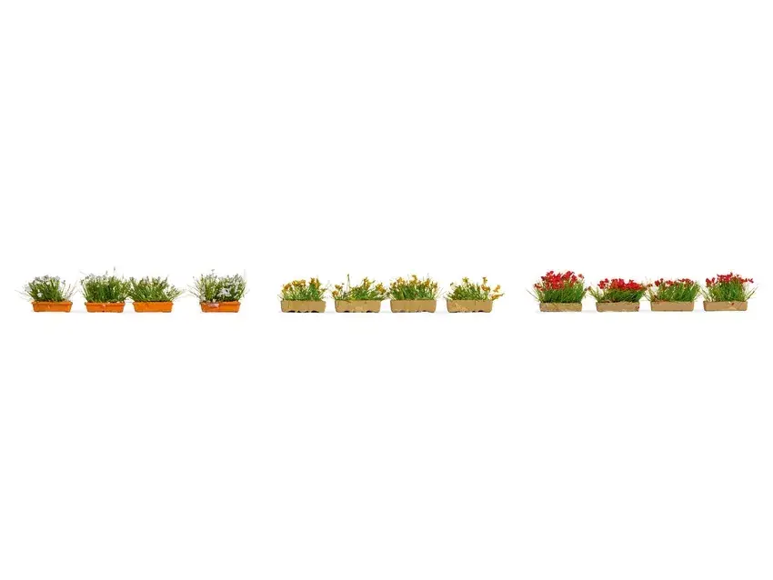 Weekendaanbieding Noch 14009 H0 Bloembakken bloeiend rood, wit en geel
