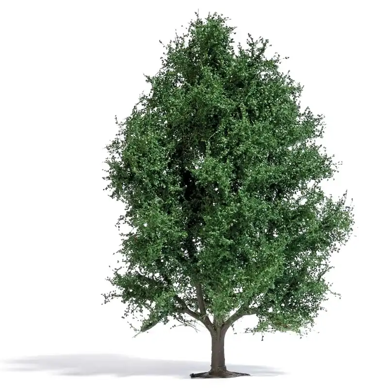 Busch 3742 H0 Populier zomer 150 mm Premium