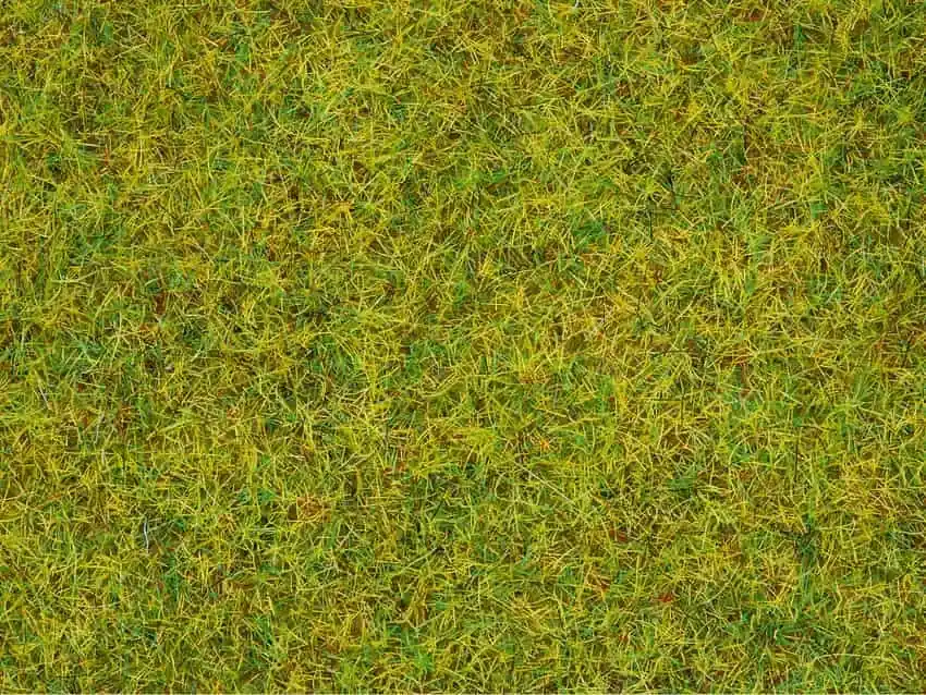 Hete Deal Noch 08310 Strooigras zomer 2,5 mm 20 gram